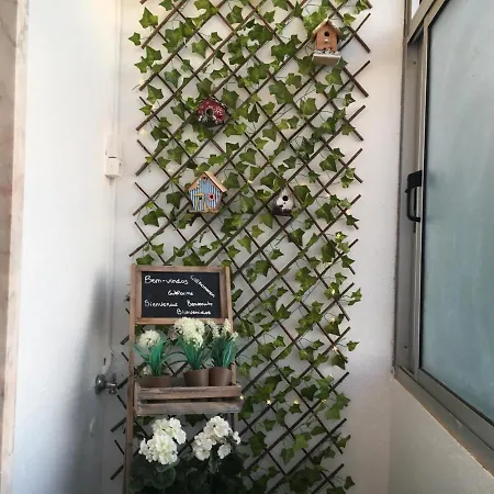 Soul Surfer Пениши