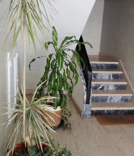 Soul Surfer Διαμέρισμα